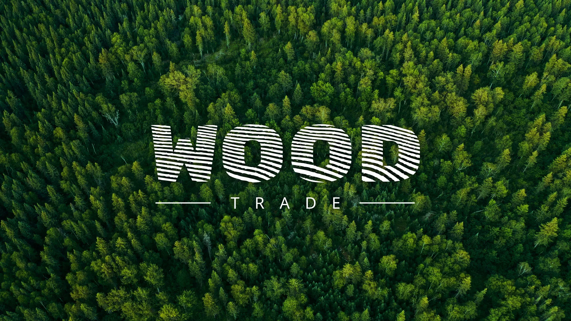 Разработка интернет-магазина компании «Wood Trade» в Славске