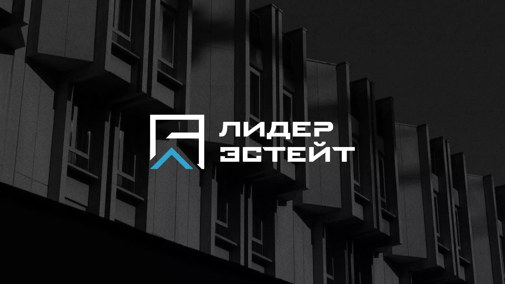 Разработка логотипа агентства недвижимости «Лидер Эстейт» в Славске